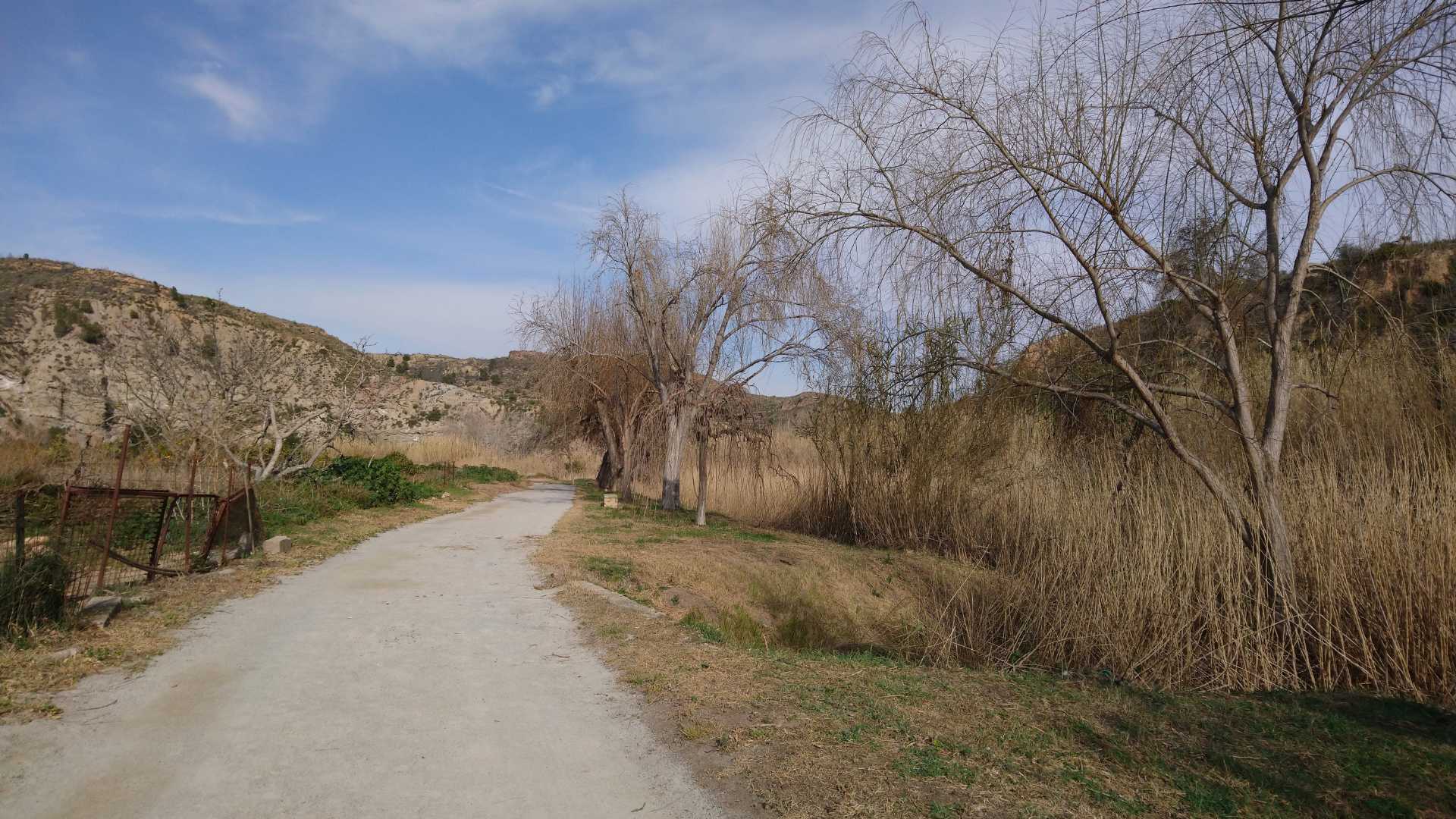 Bugarra