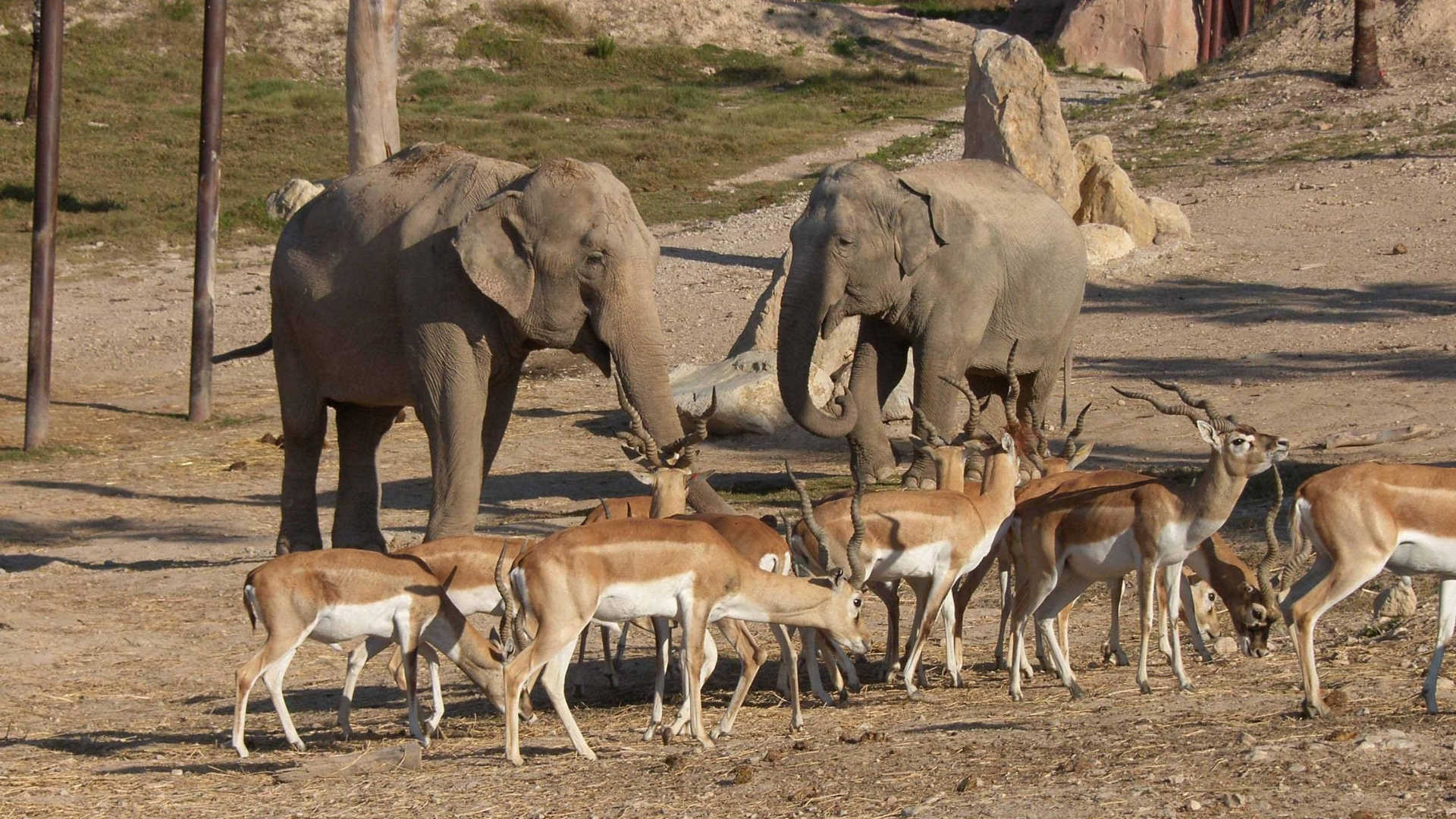 Terra Natura