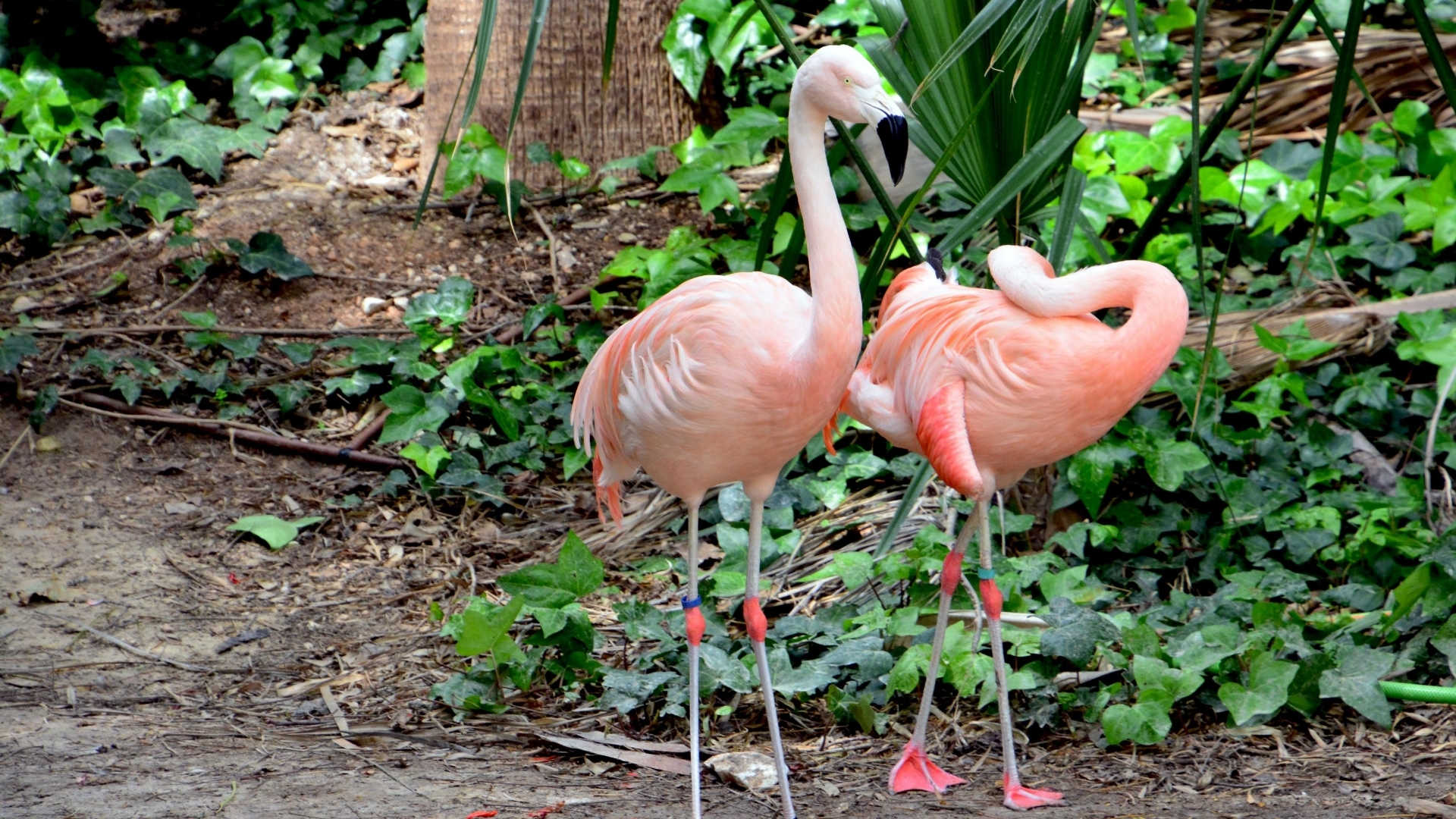 terra natura zoo,