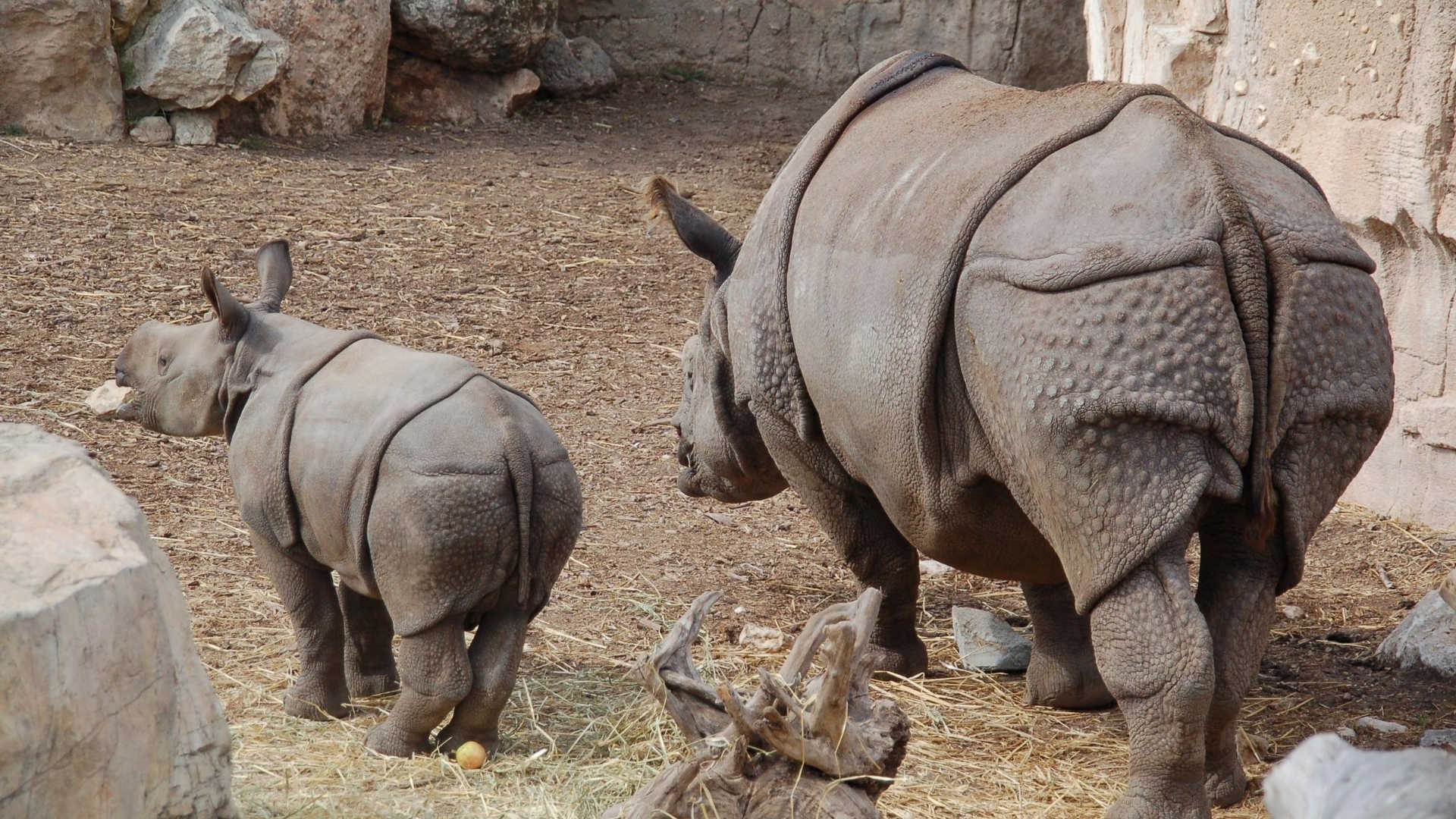 terra natura zoo,