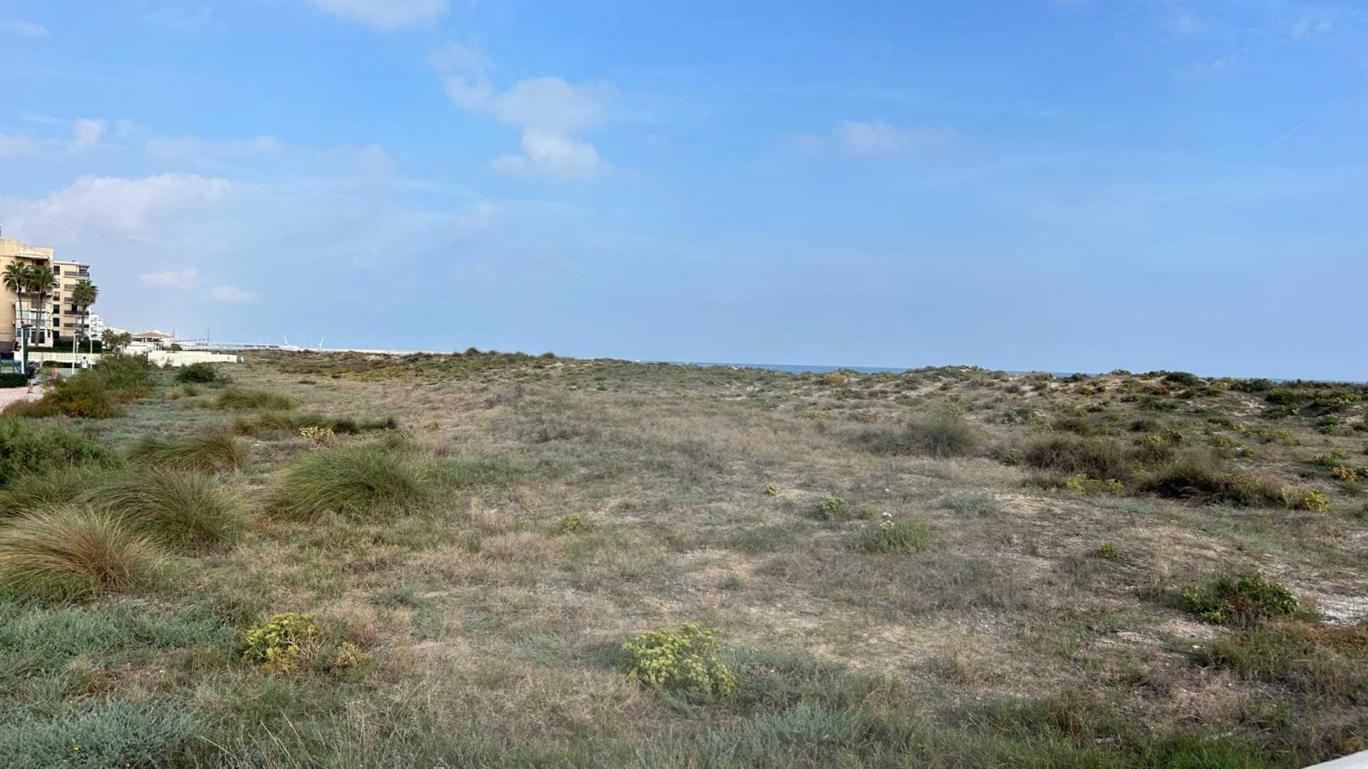 Playa Daimús