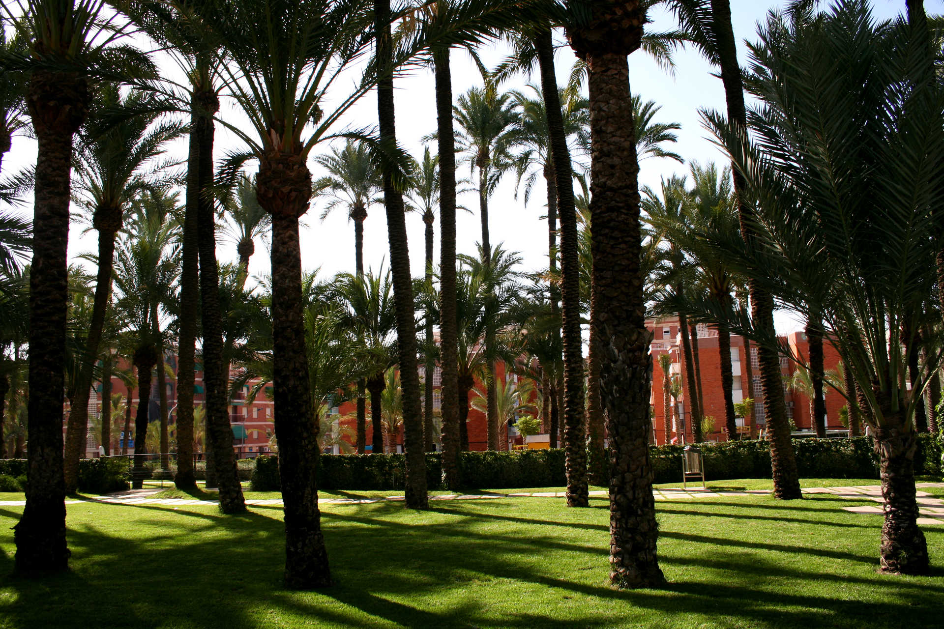 Parc El Palmeral