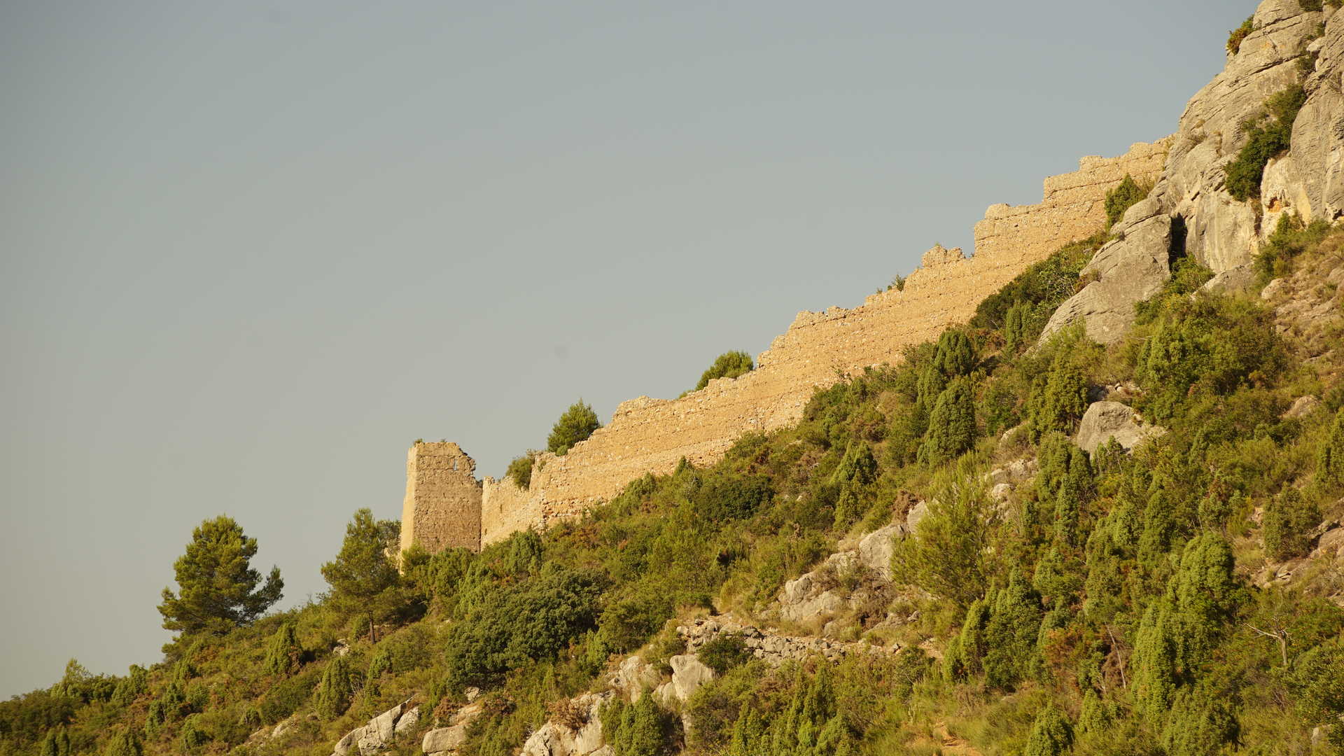 Castillo del Buey Negro