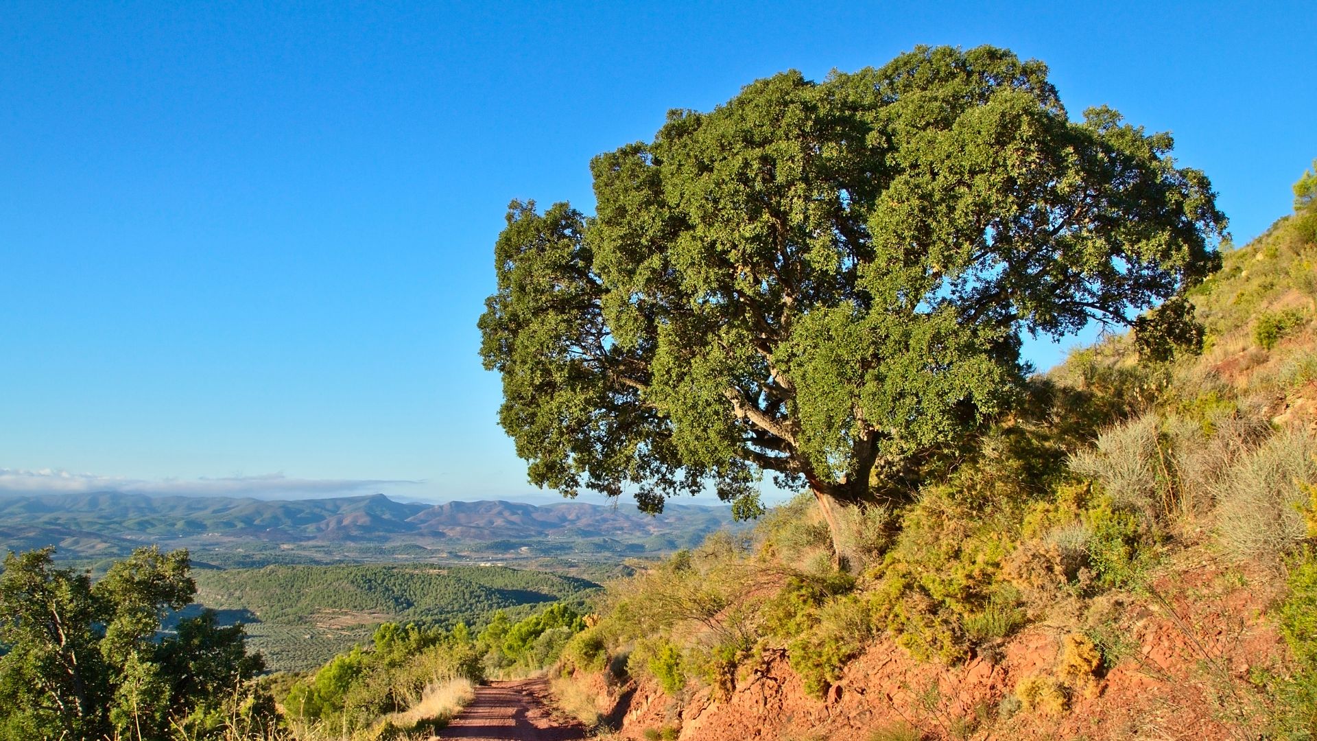 wandern valencia rundwege,
