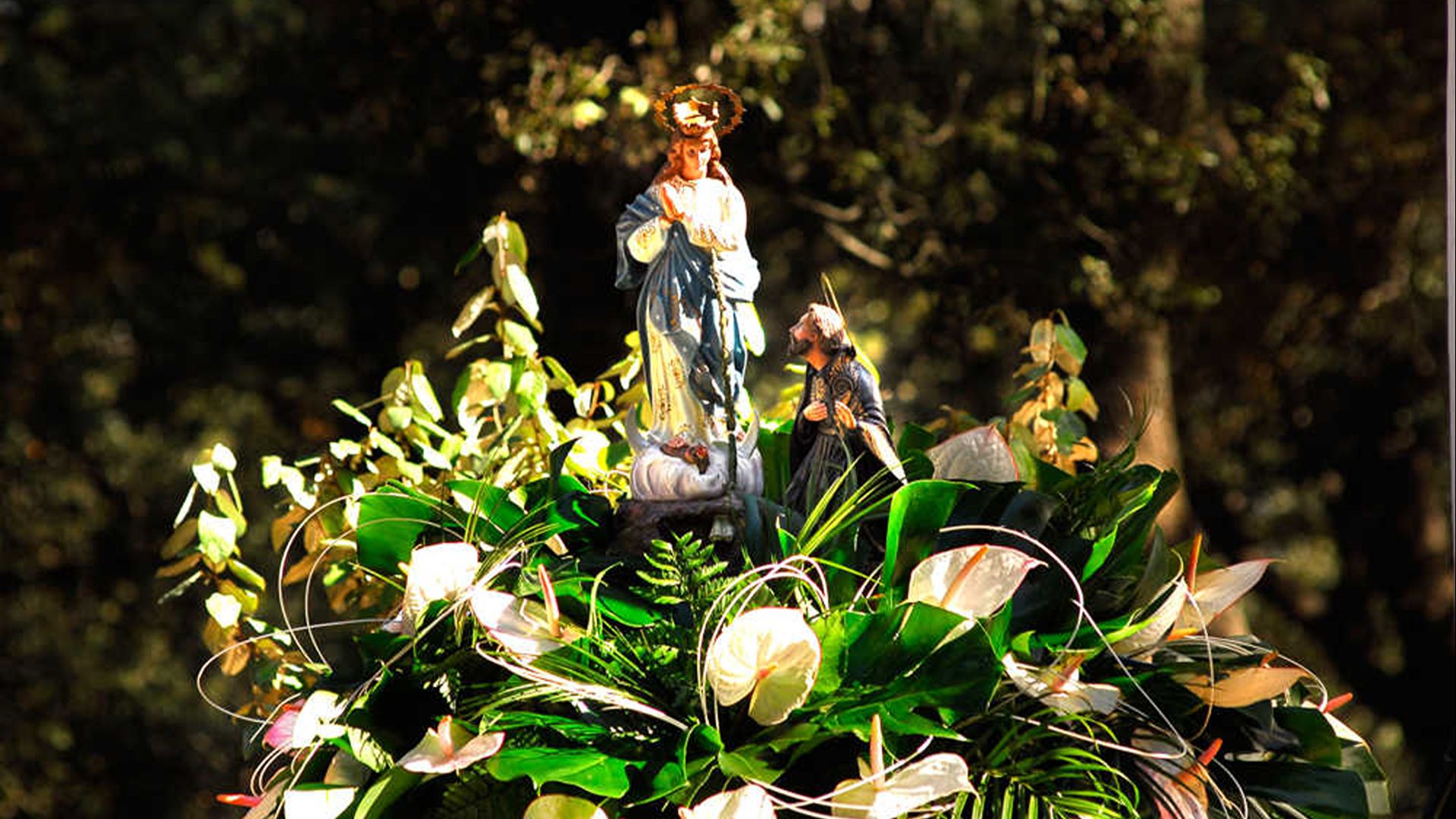 Romería a la Virgen de los Lírios