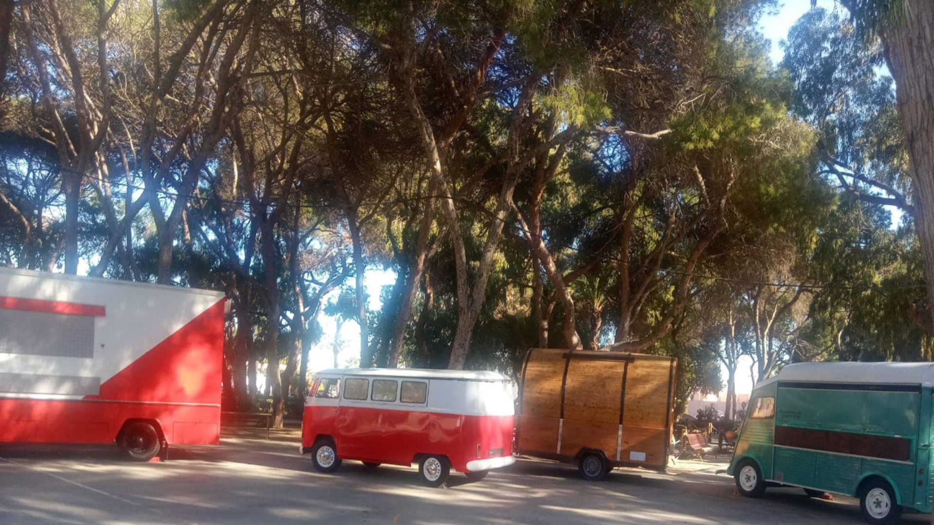 II Edición Gastronavidad en Guardamar del Segura