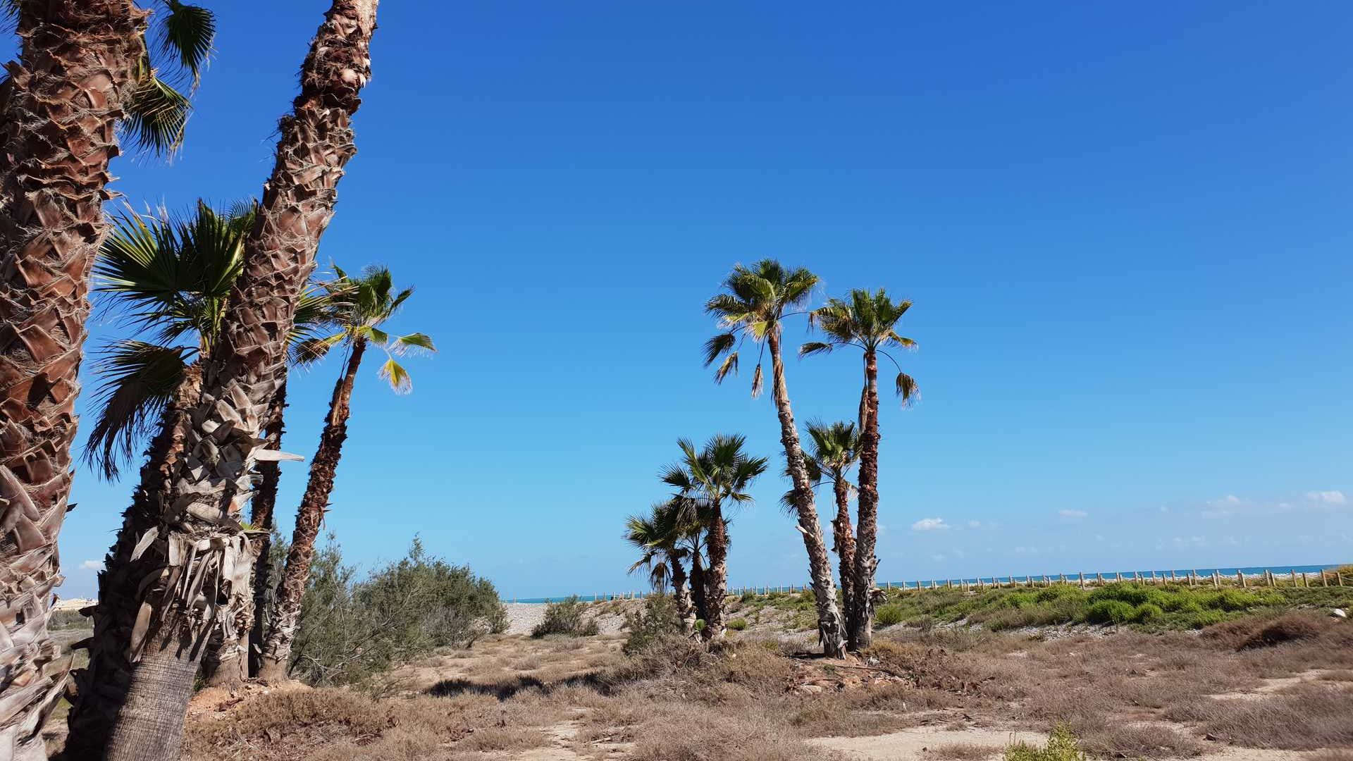 SENDERO AZUL EUROPEO DEL BELCAIRE