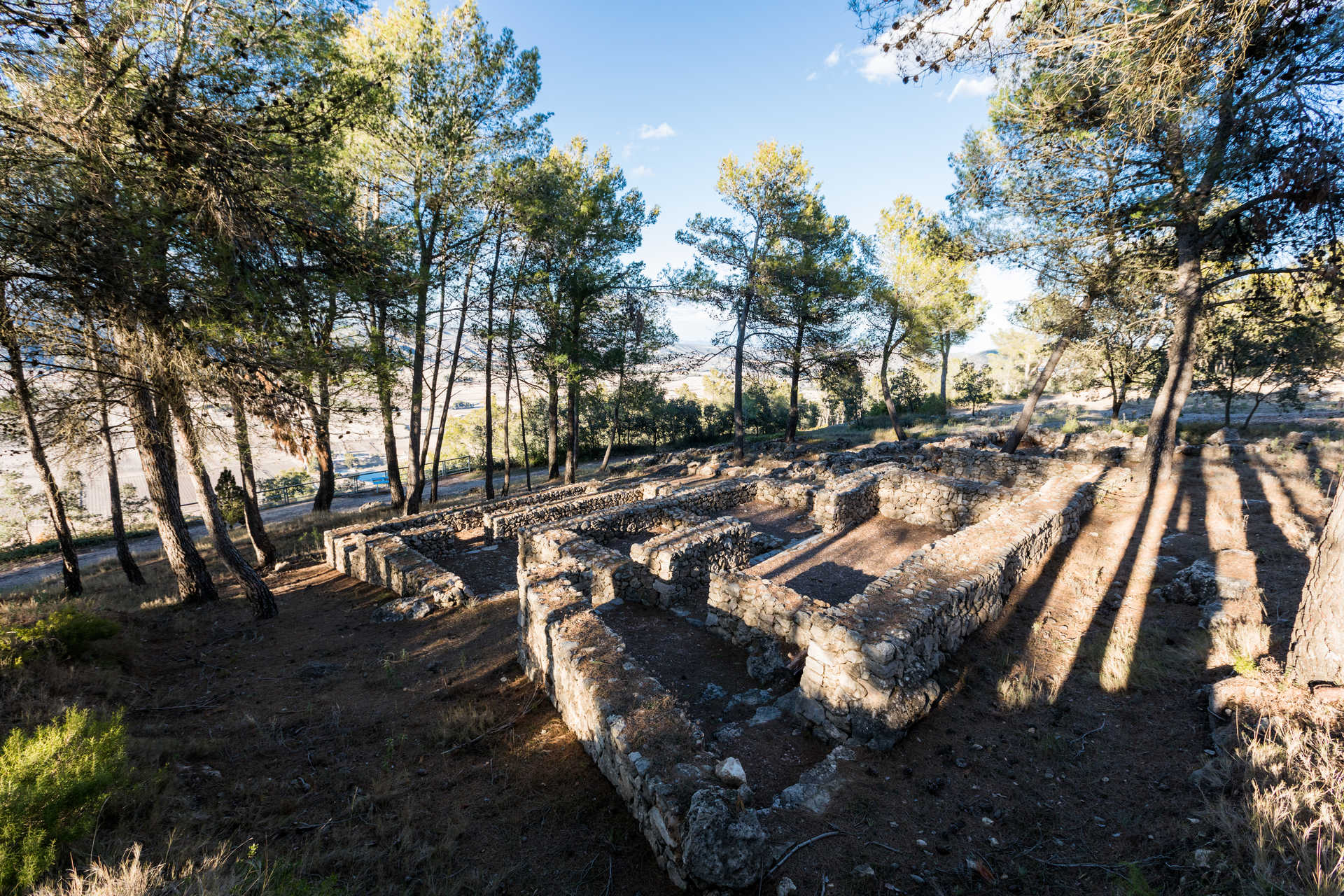 Bastida de les Alcusses